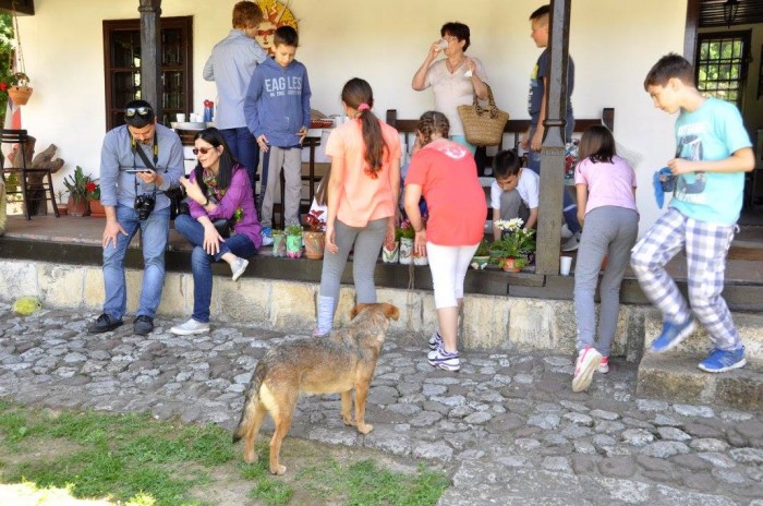 Međugeneracijsko baštovansko druženje u Rančićevoj kući