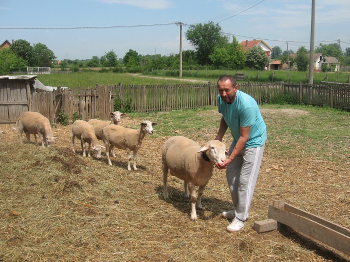 Pomoć  u obnovi kuća i ekonomska revitalizacija poplavljenih područja Srbije