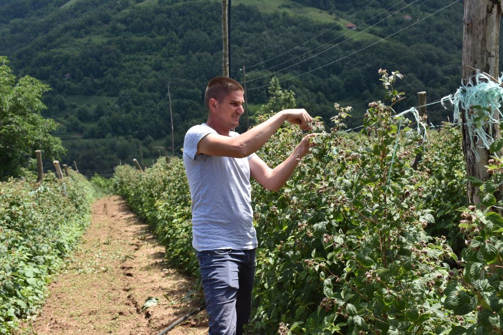 Konkurs za dodelu bespovratnih sredstava za mlade poljoprivrednike - učenike završnih razreda srednje poljoprivredne škole „Ljubo Mićić" iz Požege