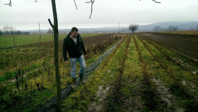 Izabrano još deset mladih poljoprivrednika koji će biti podržani 