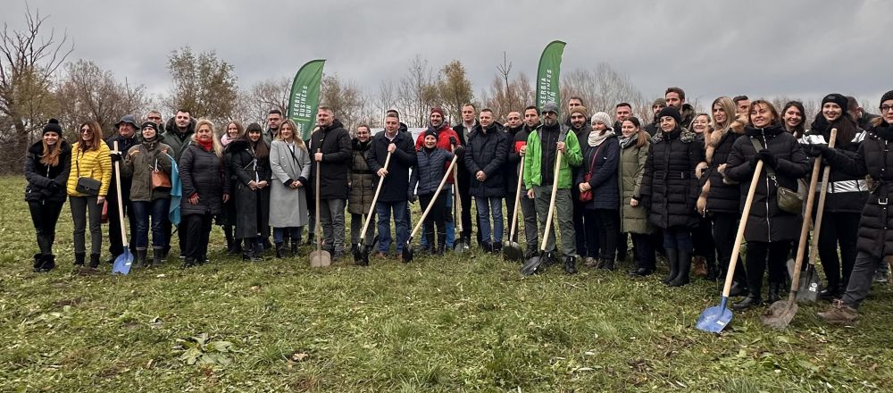 Posađeno 2000 stabala u Zrenjaninu